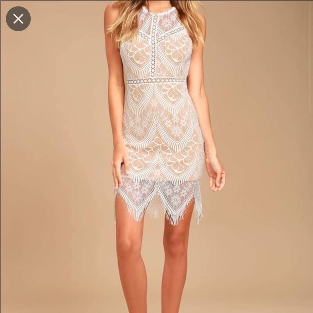 NWT Lulus Lush Lace Dress